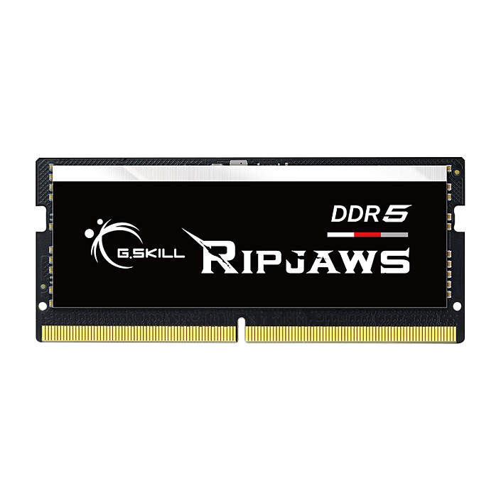 64 GB G.Skill SO-DIMM 5600 (2x 32 GB) Dual-Kit · F5-5600S4040A32GX2-RS