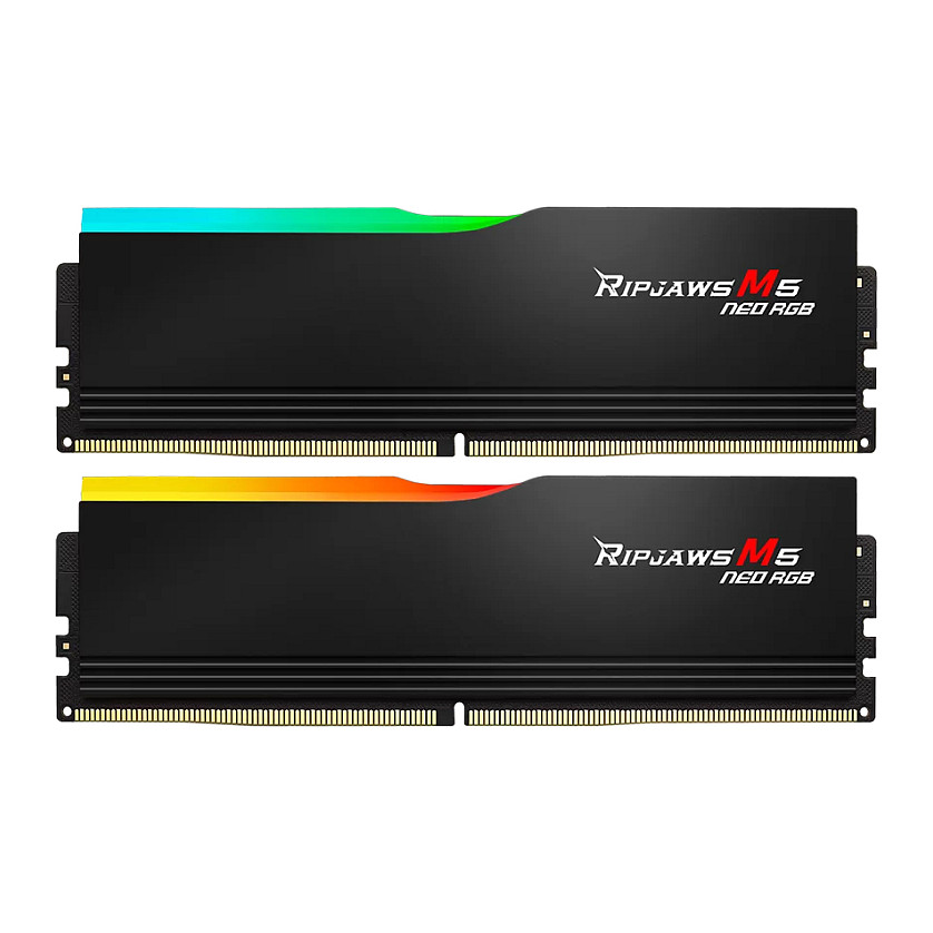64 GB G.Skill DIMM 6000 (2x 32 GB) Dual-Kit · F5-6000J2836G32GX2-RM5NRK