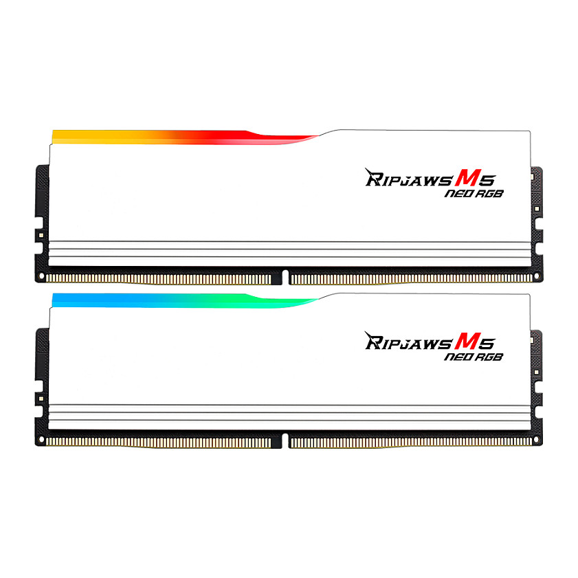 64 GB G.Skill DIMM 6000 (2x 32 GB) Dual-Kit · F5-6000J2836G32GX2-RM5NRW