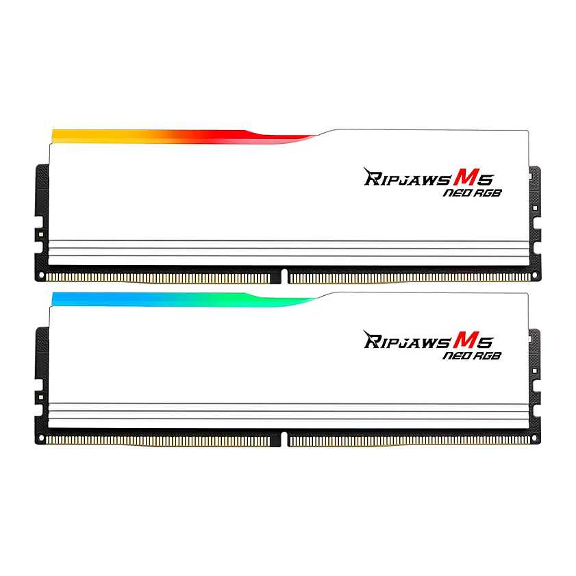 G.SKILL DIMM 64 GB DDR5-6000 (2x 32 GB) Dual-Kit · F5-6000J3238G32GX2-RM5NRW