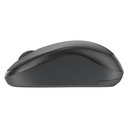 Mouse Logitech M240 for Business Graphite - 910-007182